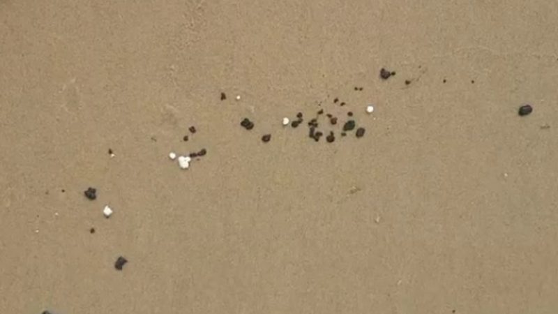 Manchas de óleo atingem praia de Canoa Quebrada, no Ceará